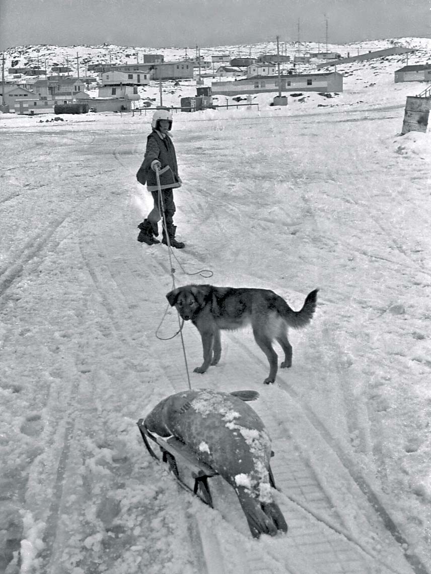 8-09CanadianArctic